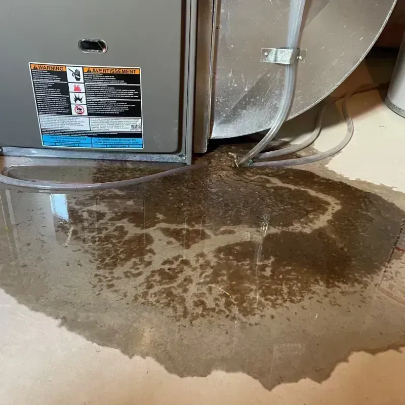 Appliance Leak Cleanup in Dwight, IL